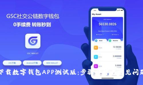 如何下载数字钱包APP测试版：步骤详解与常见问题解答