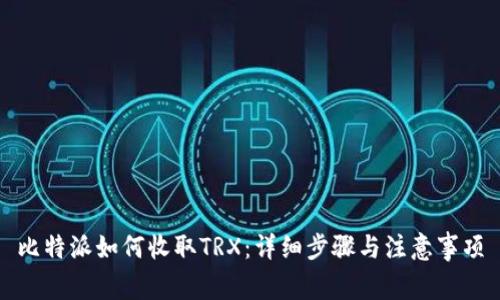 比特派如何收取TRX：详细步骤与注意事项