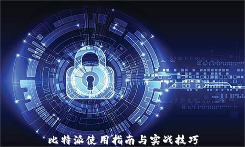 
比特派使用指南与实战技巧