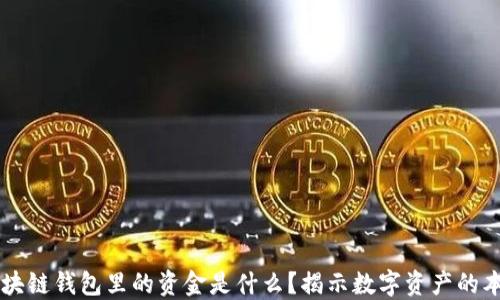 
区块链钱包里的资金是什么？揭示数字资产的本质