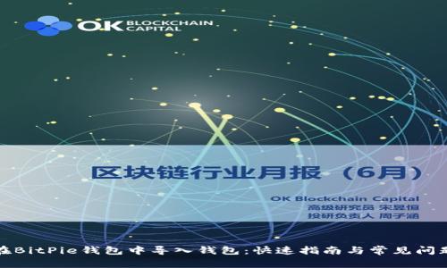 如何在BitPie钱包中导入钱包：快速指南与常见问题解答