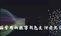 美国常用的数字钱包支付