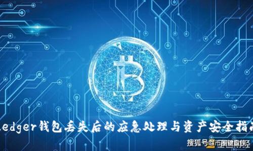 Ledger钱包丢失后的应急处理与资产安全指南