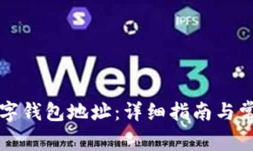 如何设置数字钱包地址：详细指南与常见问题解析