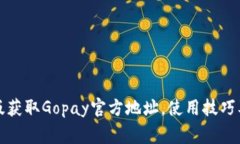 如何通过安卓版获取Gopay官方地址，使用技巧及常