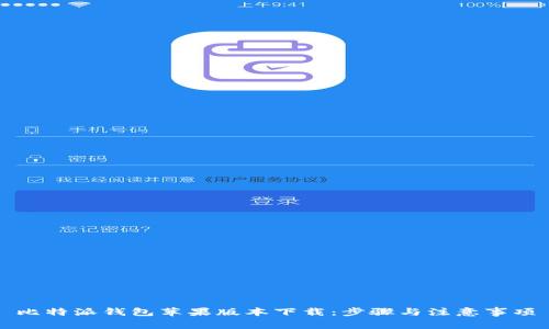 比特派钱包苹果版本下载：步骤与注意事项