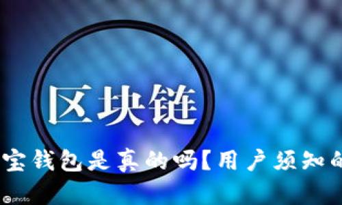 深入解析：波宝钱包是真的吗？用户须知的真相与风险