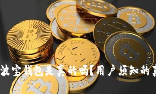 深入解析：波宝钱包是真的吗？用户须知的真相与风险