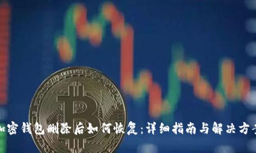加密钱包删除后如何恢复：详细指南与解决方案