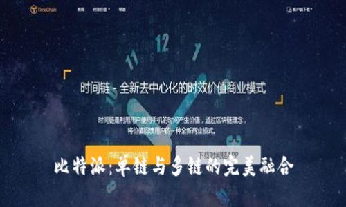 比特派：单链与多链的完美融合