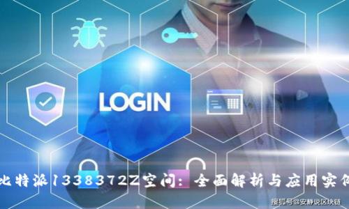 比特派1338372Z空间: 全面解析与应用实例