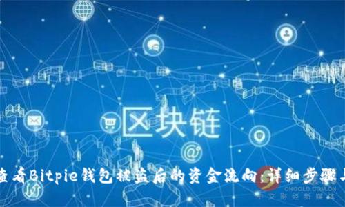 如何查看Bitpie钱包被盗后的资金流向：详细步骤与分析