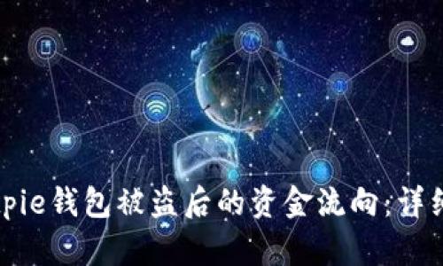 如何查看Bitpie钱包被盗后的资金流向：详细步骤与分析