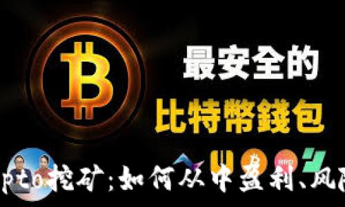   
全面解析Crypto挖矿：如何从中盈利、风险及最佳实践