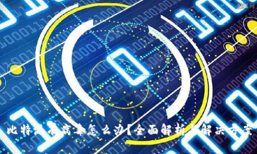 比特派有病毒怎么办？全面解析与解决方案