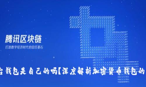 :虚拟币平台钱包是自己的吗？深度解析加密货币钱包的本质与选择