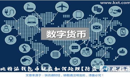 比特派钱包币被盗如何处理？防盗与补救指南