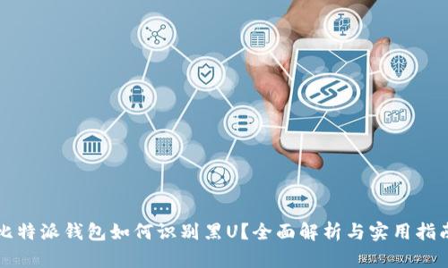 比特派钱包如何识别黑U？全面解析与实用指南