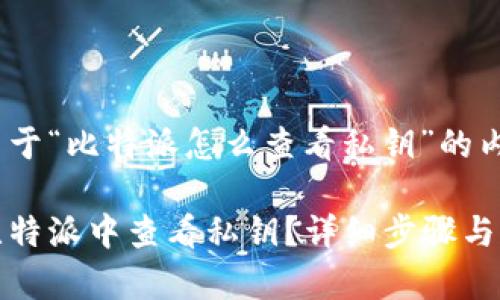 以下是关于“比特派怎么查看私钥”的内容： 

如何在比特派中查看私钥？详细步骤与注意事项