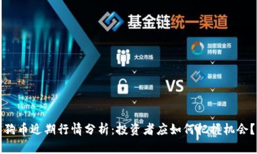 狗币近期行情分析：投资者应如何把握机会？