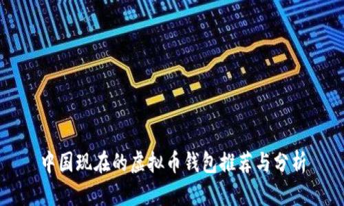 中国现在的虚拟币钱包推荐与分析