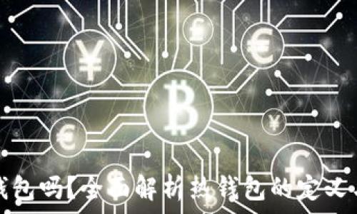   
比特派属于热钱包吗？全面解析热钱包的定义与比特派的特点