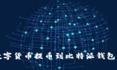 如何将数字货币提币到比