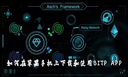 如何在苹果手机上下载和使用BITP APP
