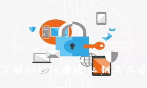 深入了解Bitpie普通私钥及其安全性