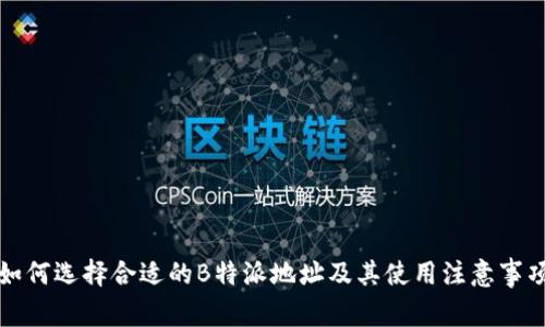 如何选择合适的B特派地址及其使用注意事项