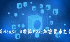 全面解析Hcash B特派POS：加密货币支付的未来