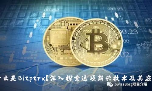 什么是Bitptrx？深入探索这项新兴技术及其应用