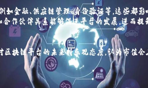 在区块链技术发展迅速的背景下，很多人对各个平台的市值和生态系统的经济状况充满了好奇。基本上，区块链平台的