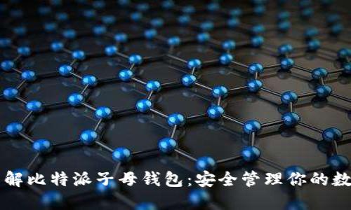 深入了解比特派子母钱包：安全管理你的数字资产